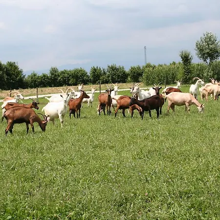 Agriturismo La Capreria 몬테갈다
